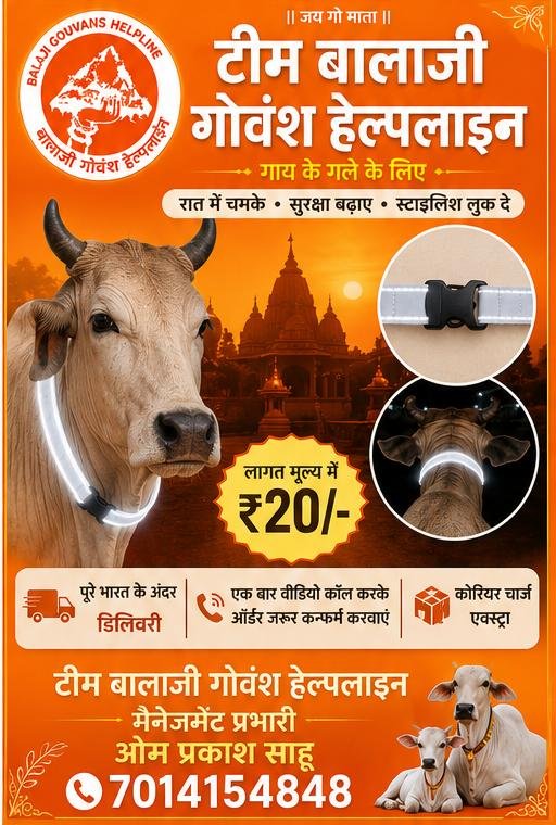 100 पीस गौवंश सुरक्षा रेडियम बेल्ट