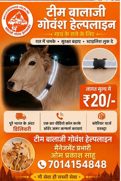200 पीस गौवंश सुरक्षा रेडियम बेल्ट
